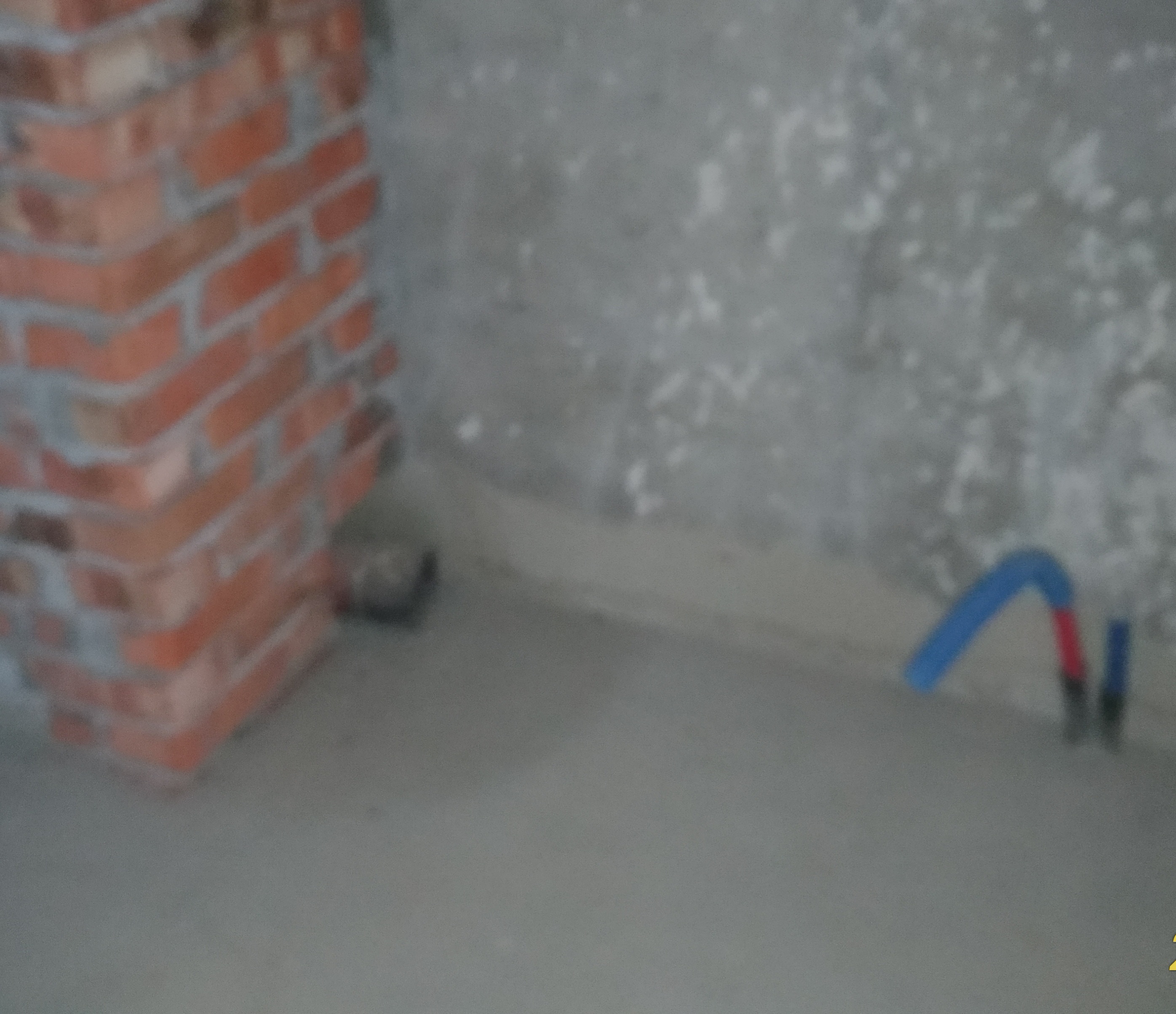 Demontage der Badewanne in Wohnung.