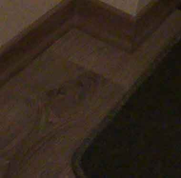 Entfernen von Tapeten