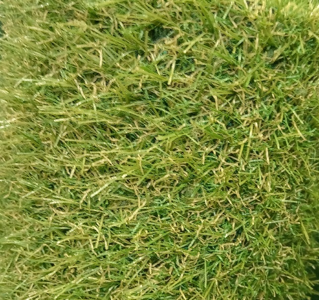 Teppiche für Büros